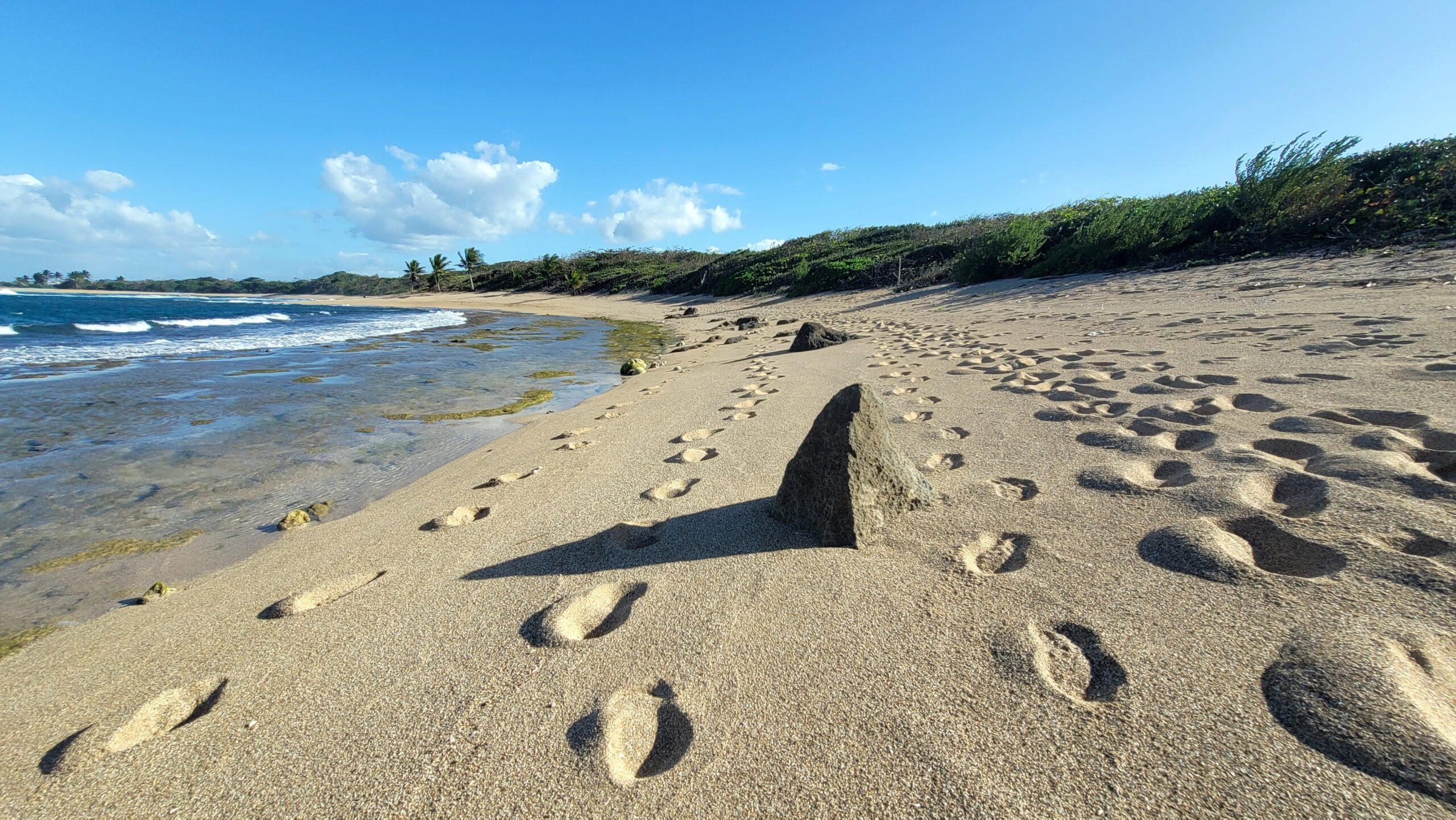 Playa La Esperanza, Manatí