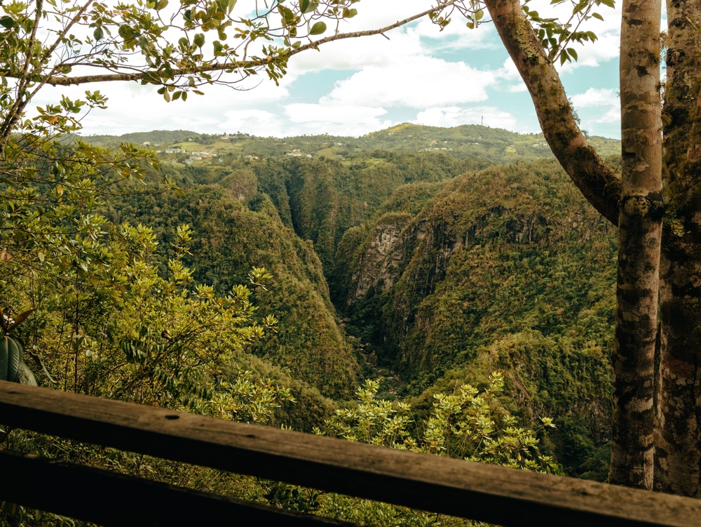 Cañon de San Cristobal, Aibonito and Barranquitas, Puerto Rico