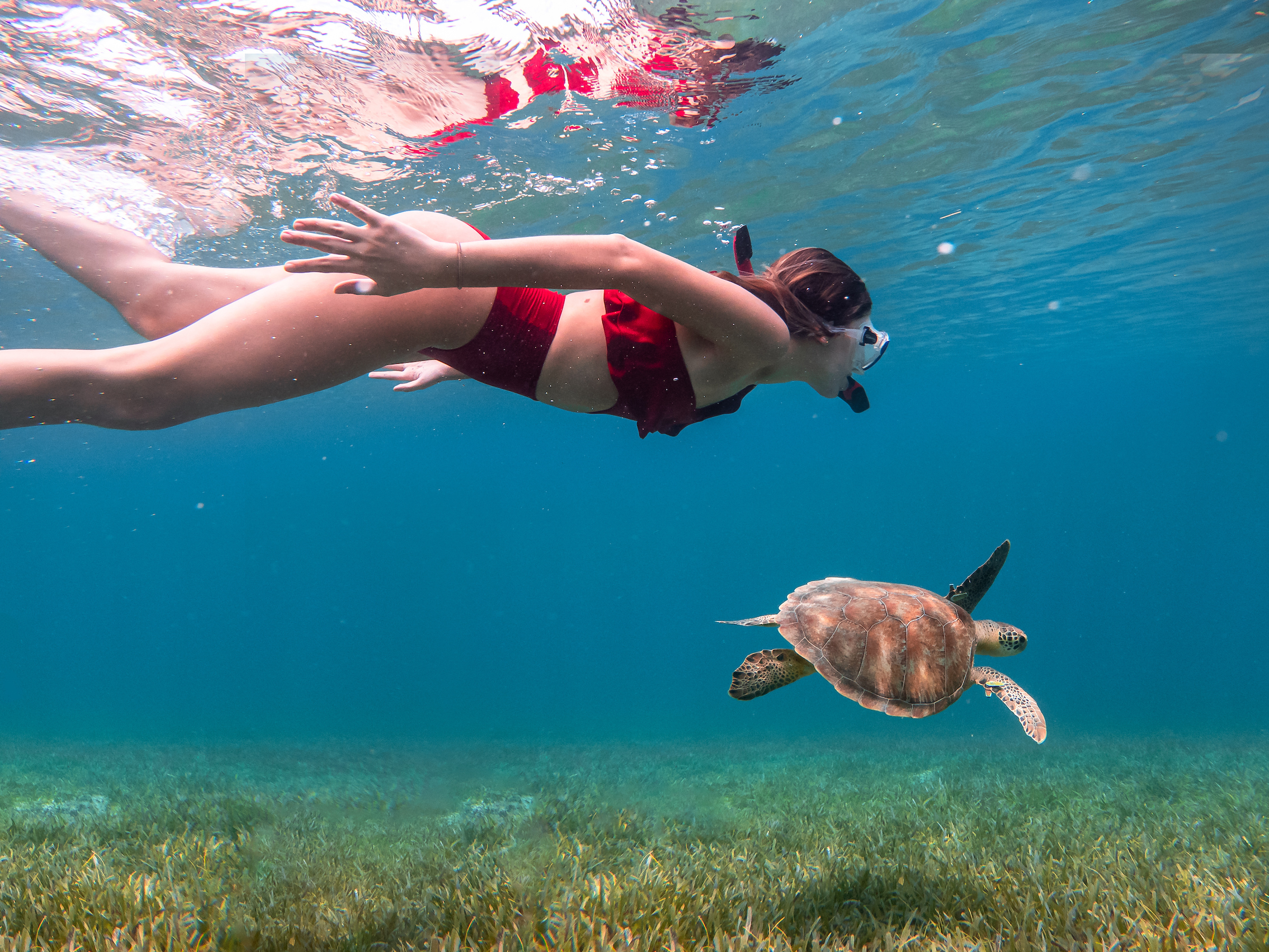 Snorkeling at Flamenco Beach, Cuelbra