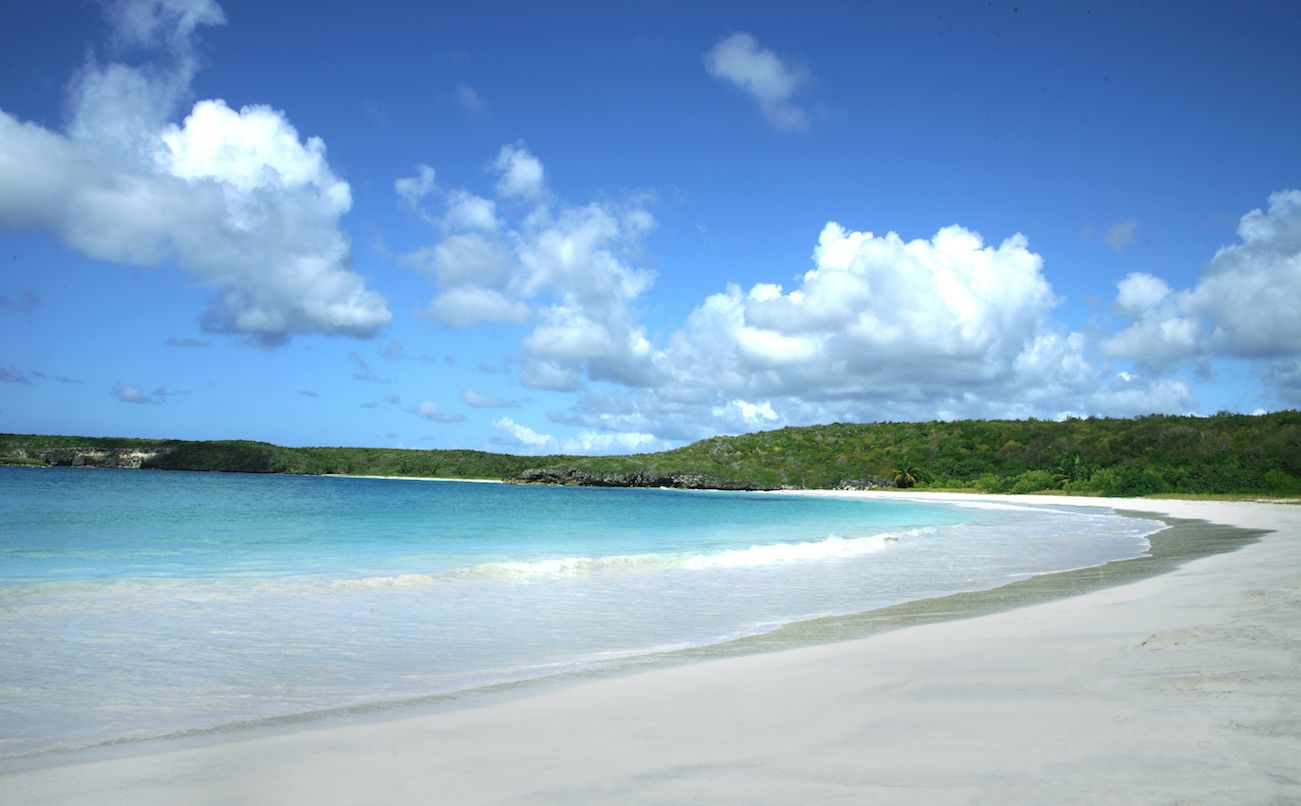 Vieques Caracas beach