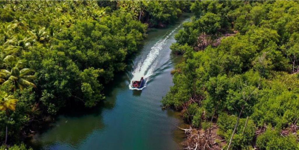 Espiritu Santo boat tour