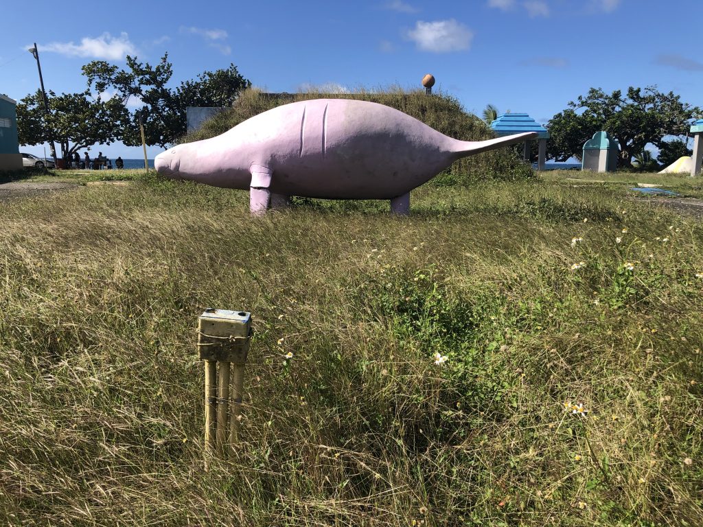 Manati los tubos