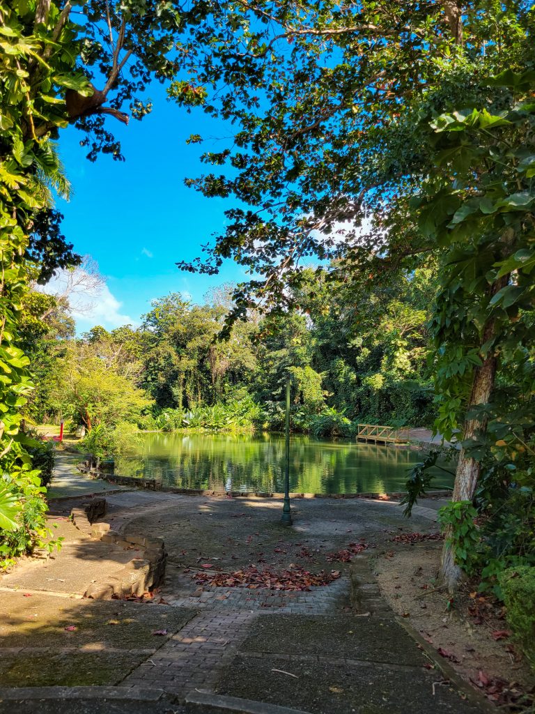 Botanical Garden hike