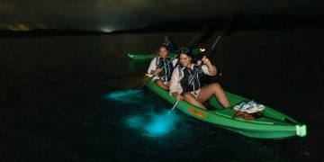 Bio bay tour Fajardo