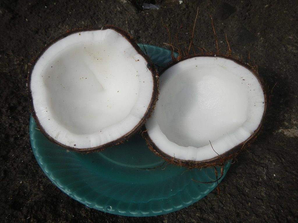 Coquito from scratch