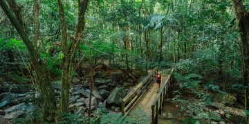 Spring break in Puerto Rico- daytime activities