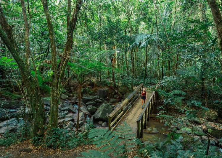 Spring break in Puerto Rico- daytime activities