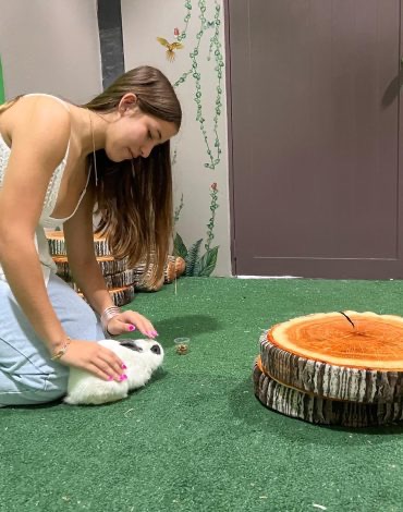 Animal Cafe realxing things to do in Old San Juan