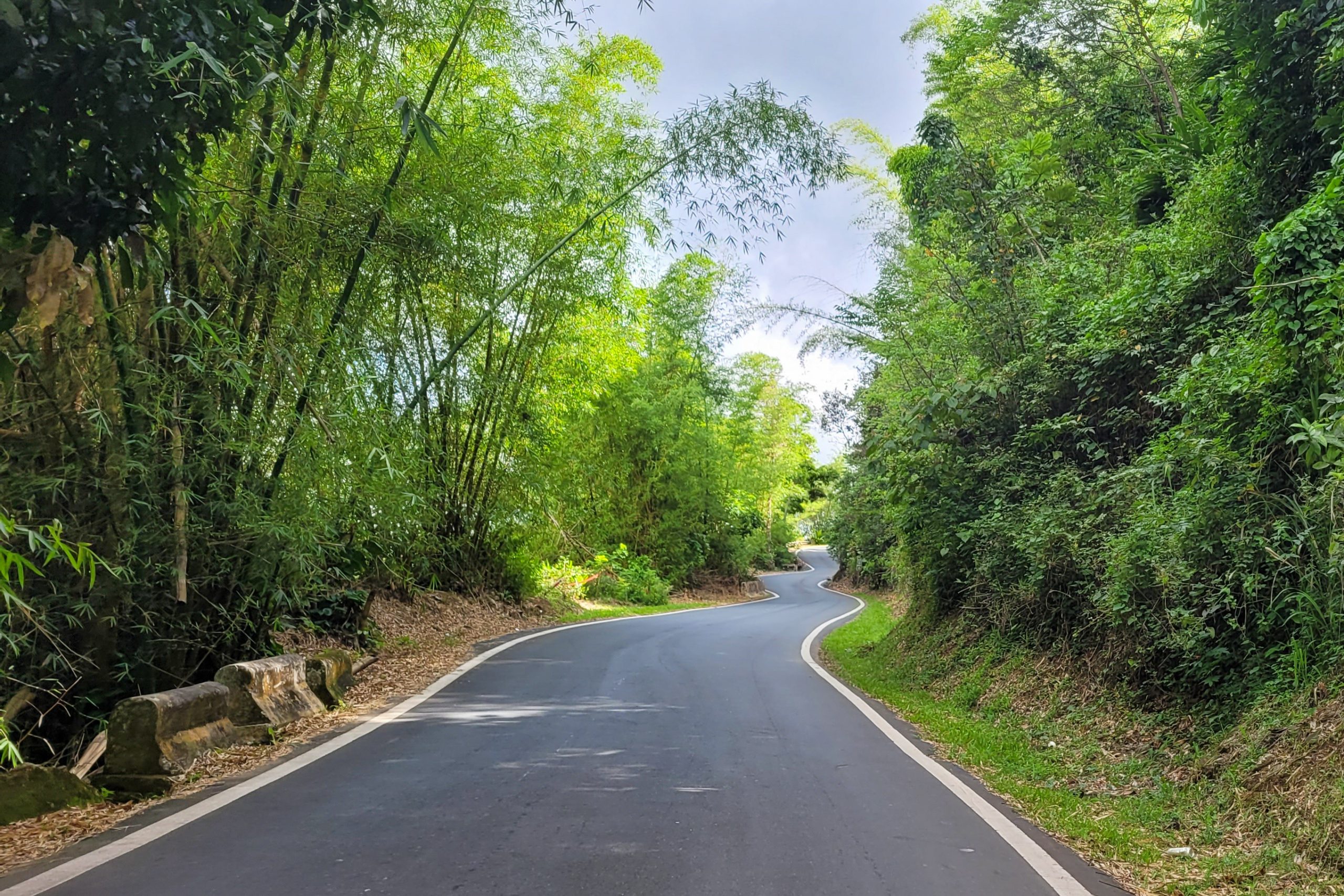 Driving in Puerto Rico