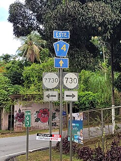 Driving in Puerto Rico